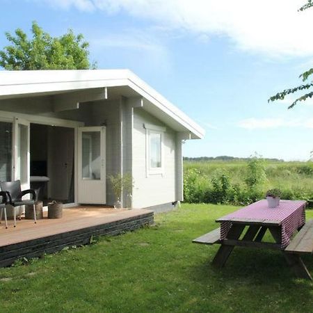 Cozy Cottage Warmenhuizen エクステリア 写真